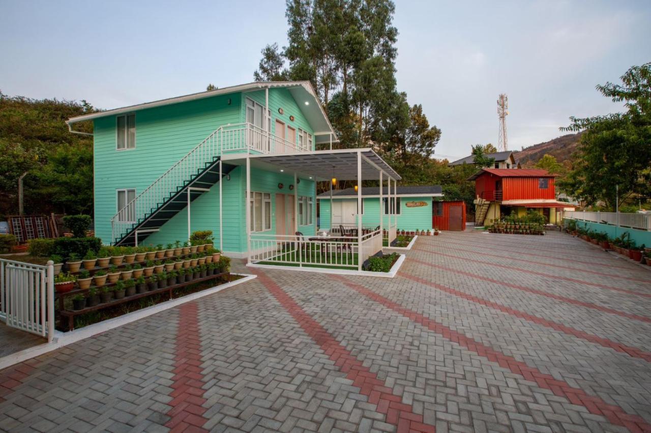 Blossom Homestay *
