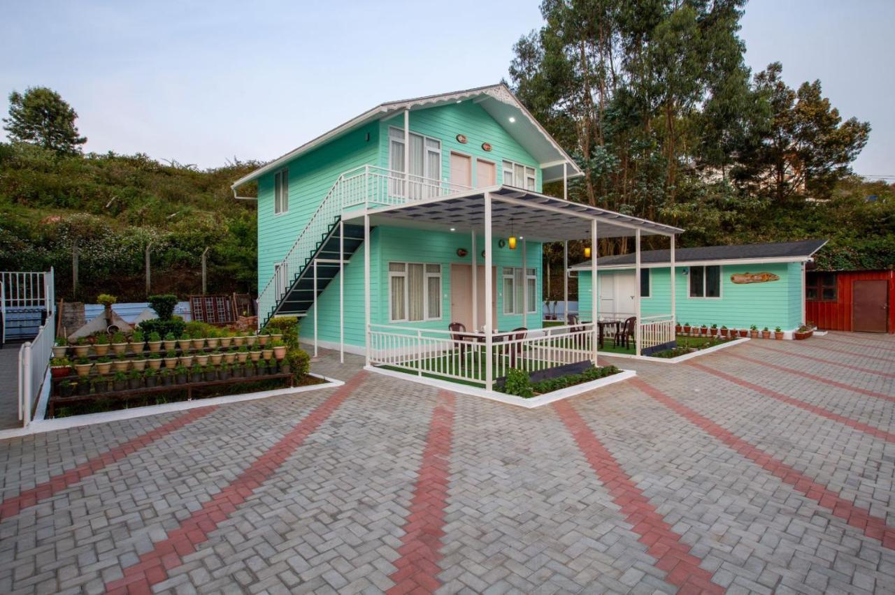 Homestay Blossom *