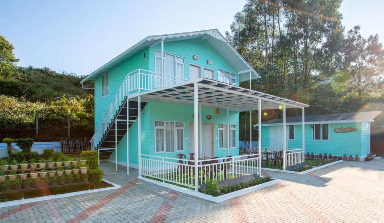 Homestay Blossom *